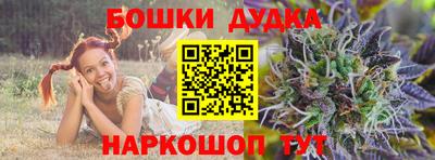 индика Гай