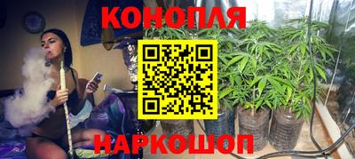 индика Гай