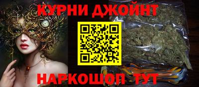индика Гай