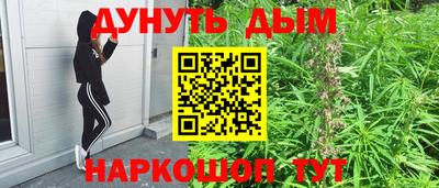 индика Гай