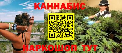 индика Гай