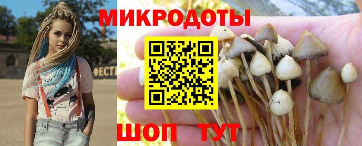 Камышлов  Галлюциногенные грибы Psilocybe  наркота  Вход с VPN 