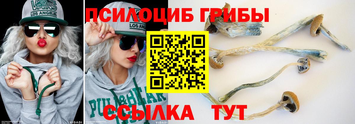 Псилоцибиновые грибы Magic Shrooms Камышлов